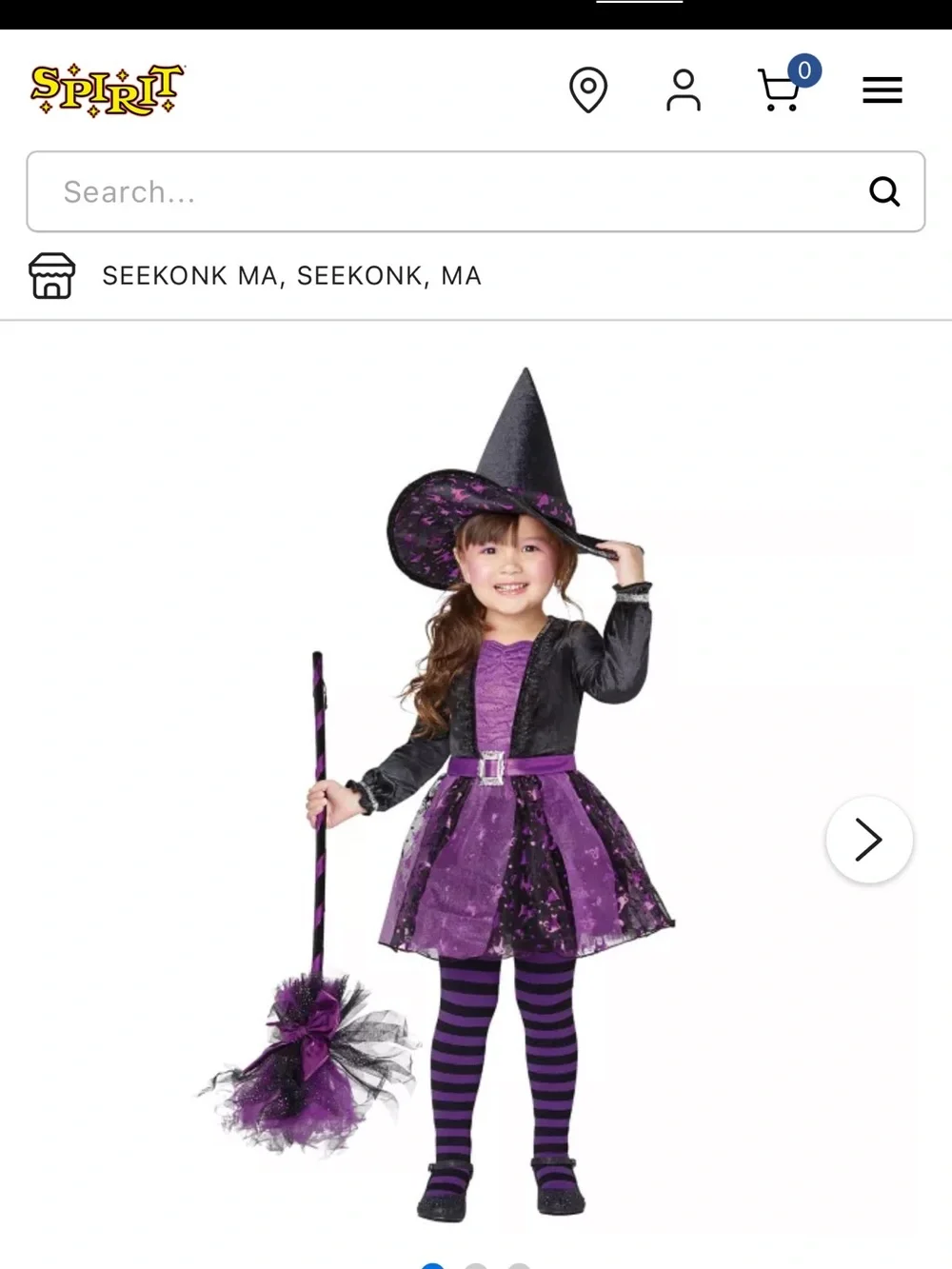 Spirit Halloween Fancy Witch toddler Halloween costume. Size 2T